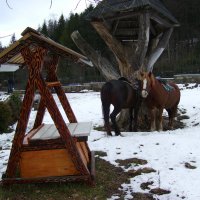 Яремча :: Андрей  Васильевич Коляскин