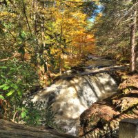 Bushkill Falls, Pensilvania :: Vadim Raskin