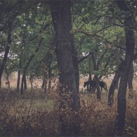 ПРИЗРАК :: Алексей Фотограф Михайловка