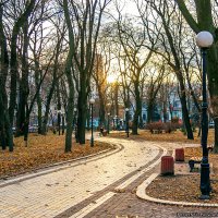 Мариинский парк - Киев :: Богдан Петренко