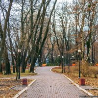 Мариинский парк - Киев :: Богдан Петренко
