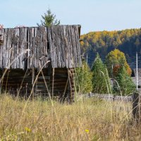 осень :: андрей 