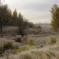 Пейзаж :: Владимир 