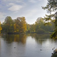 осень :: Виктория Жуланова