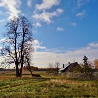 высоченное дерево :: Валентина. .