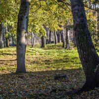 Осень в парке :: Владимир Буравкин