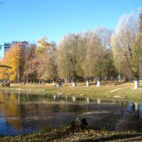 Осенью на озере :: Елена Семигина