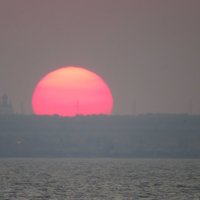 Восход солнца :: Вера Щукина