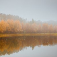Осенний туман над озером :: Юрий Михайлович 