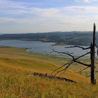 Грустная история... :: Наталья Юрова