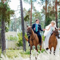 Wedding :: Светлана Челядинова