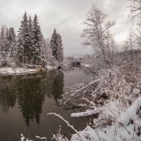 *** :: Дамир Белоколенко