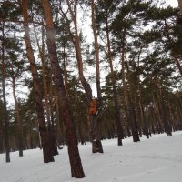 Зеньковский парк :: Валентина Журба