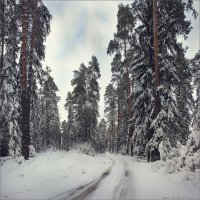 Первый снег.. :: Алексей Макшаков