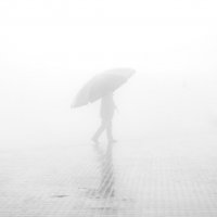 Владимир Искусов - Один в тумане :: Фотоконкурс Epson