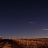 Дорога в ночь. :: Евгений Евгеньевич