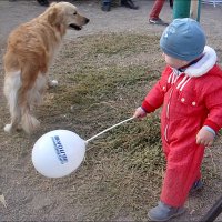 На празднике двора :: Нина Корешкова