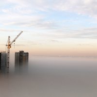 Туман :: Татьяна Старчикова