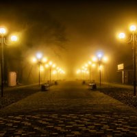 Туманный вечер городского парка :: Александр Комарских