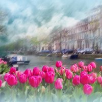 Амстердам / апрель :: Liliya 