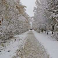 первый снег :: Седа Ковтун