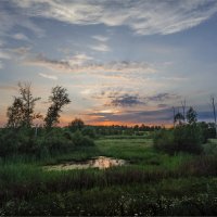 Мучкапский пейзаж с высохшим прудом :: Павел Корнеев