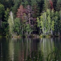 такие места у  нас... :: Валерия  Полещикова 