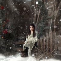 Новогодняя сказка :: Вероника Сухоносова