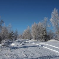 Зимняя дорога в даль меня зовёт...Подожду немного,может, всё пройдёт... :: Александр Попов