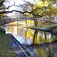 Осень в парках Риги... :: Марина Кузнецова