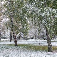 Первый ранний снег. :: Евгений Поляков