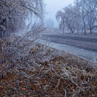 Незатейливый пейзажик :: Александр Бойко