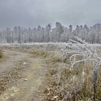 Дорога в зиму :: Александр Гурьянов