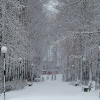 Белым-белы лежат снега :: Владимир Максимов
