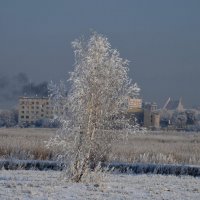 Омск зимний :: Savayr 