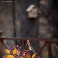 Осень... :: Мисак Каладжян