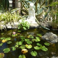Никитский ботанический сад :: Наиля 