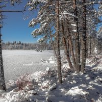 Озеро Чёрное покрылось льдом... :: Федор Кованский
