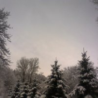 Первый снег :: Алексей Травкин 