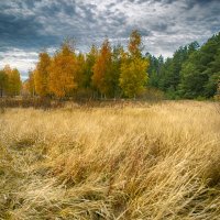 *** :: Александр Александров