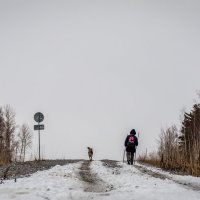 В дорогу с другом... Встреча на дороге... Серия из пяти фотографий. :: Сергей Щелкунов