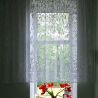 Тюльпаны на окне :: Евгений Дубовцев