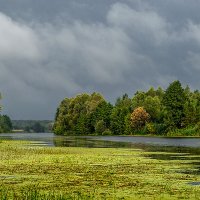 р.Мухавец. :: Владимир Фисенко