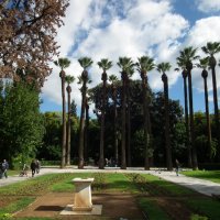В Ботаническом саду Афин :: Natalia Harries
