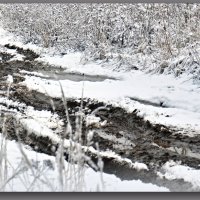 БЫВАЕТ И ТАК...) :: Юрий Ефимов