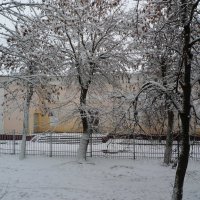 Первый снег 3. :: Александр Атаулин