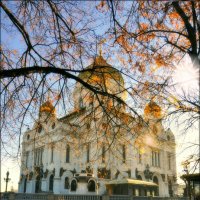 Храм Христа Спасителя. Москва.(29.11.2015г.) :: Виталий Виницкий