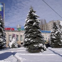 Зима 2015 :: Анатолий Бугаев