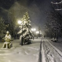 В Южном парке наступила зима :: Игорь Сарапулов