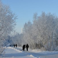 зимняя заснеженность :: Михаил Плецкий